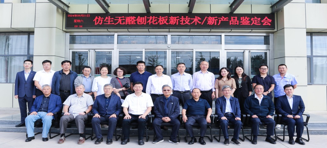 重磅！新港集團和東北林業(yè)大學共同研發(fā)的仿生無醛刨花板新技術/新產(chǎn)品通過4項“國際領先”水平鑒定!